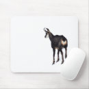 Search for snow white mouse mats Mountain