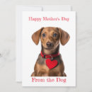 Search for dog mothers day cards Dachshund
