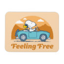 Search for free magnets Peanuts