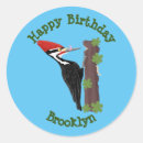 Search for woodpecker stickers Cartoon
