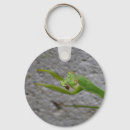 Search for mantis key rings Bugs