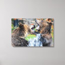 Search for sparring posters Animal