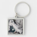 Search for arctic fox key rings Canada