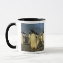 Search for gentoo mugs Wildlife