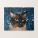 Search for siamese cat puzzles Feline