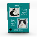 Search for dog loss quote Cat