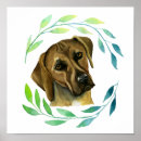 Search for rhodesian ridgeback gifts Pet