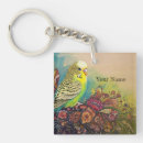 Search for parakeet key rings Parrot