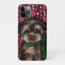 Search for poo cases Yorkshire terriers