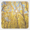 Search for sierra nevada stickers Forest