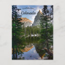 Search for lonely tree postcards Landscape