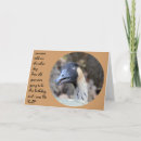 Search for funny duck birthday cards Over the hill