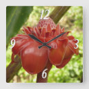 Search for torch Flower