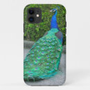 Search for wild iphone 5 cases Birds