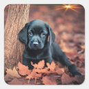 Search for black lab stickers Pets