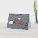 Search for alaskan cards Nature