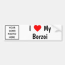 Search for borzois bumper stickers Wolfhound