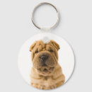 Search for shar pei key rings Puppies