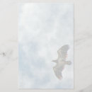 Search for ahead cards invites Outdoors