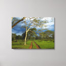 Search for dirt canvas prints Horizontal