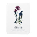 Search for gemini magnets Zodiac