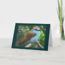 Search for robert cards Bird