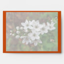 Search for flying bee Floral