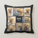 Search for black cat cushions Stylish