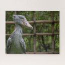 Search for nerd puzzles Shoebill