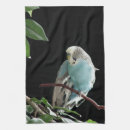 Search for budgie gifts Pet