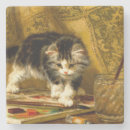 Search for funny cat coasters Kitten