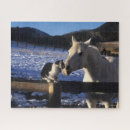 Search for horses and snow puzzles Breed