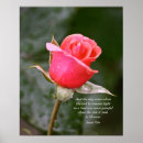 Search for came photography Inspiration
