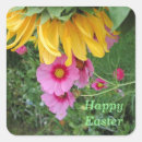 Search for cosmos flower stickers Wildflowers