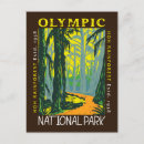 Search for olympic national park postcards Hoh rain forest