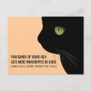 Search for funny cat sayings postcards Humourous