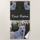 Search for shepherds photography Pet