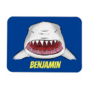 Search for attacks magnets Ocean