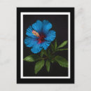 Search for single vertical postcards Bloom