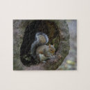 Search for squirrel puzzles Rodent