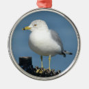 Search for bird christmas tree decorations Ocean