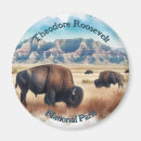 Search for theodore magnets Travel