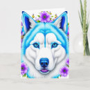 Search for huskie cards For her