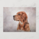 Search for beagles postcards Breed