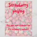 Search for strawberries flyers Fruit