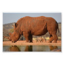 Search for rhino art Brown