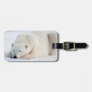 Search for polar bear luggage tags Carnivore