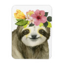 Search for sloth magnets Animal