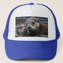Search for otter hats Wildlife