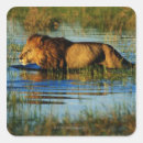 Search for botswana stickers Outdoors